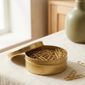 Brass Paper Clips 100pk